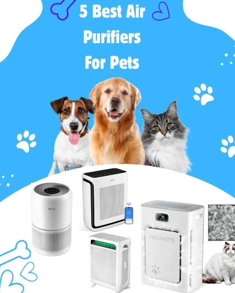 5 Best Air Purifiers For Pets