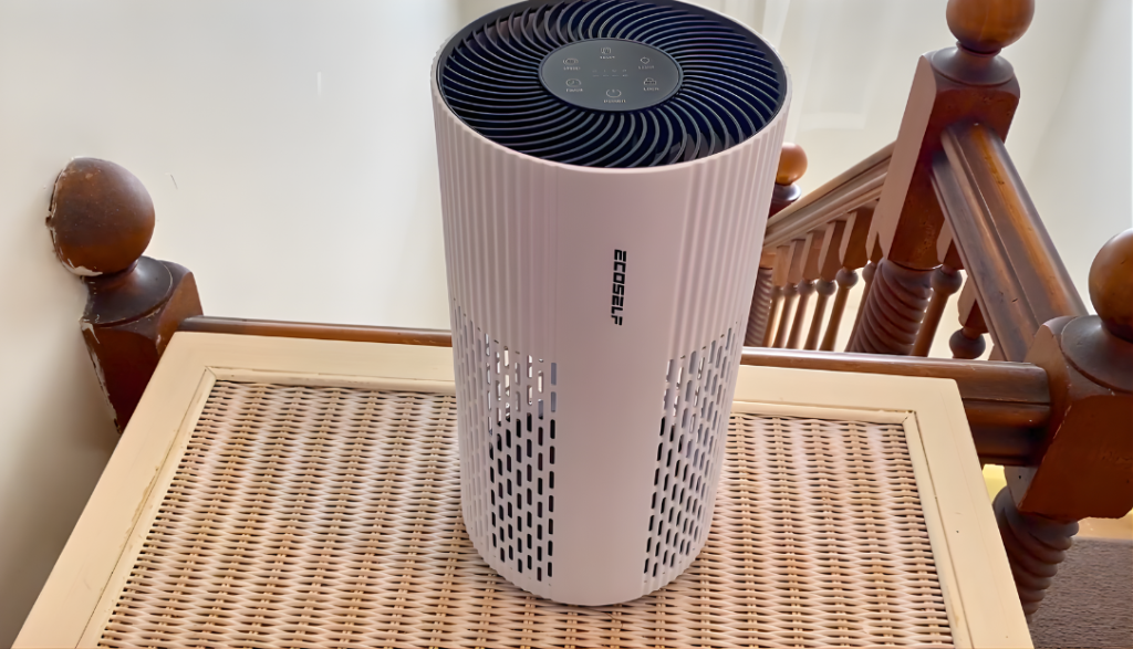 ECOSELF HAP604 Air Purifier Review