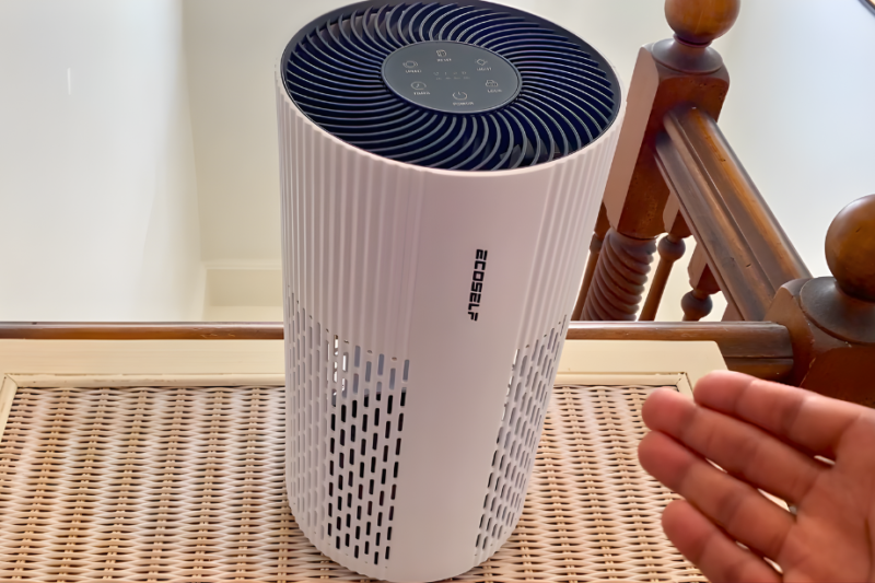 ECOSELF HAP604 Air Purifier Review