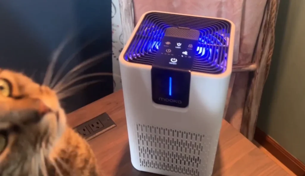 MOOKA M05 Design and Build Quality