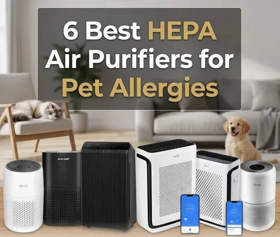 6 Best HEPA Air Purifiers for Pet Allergies in 2026