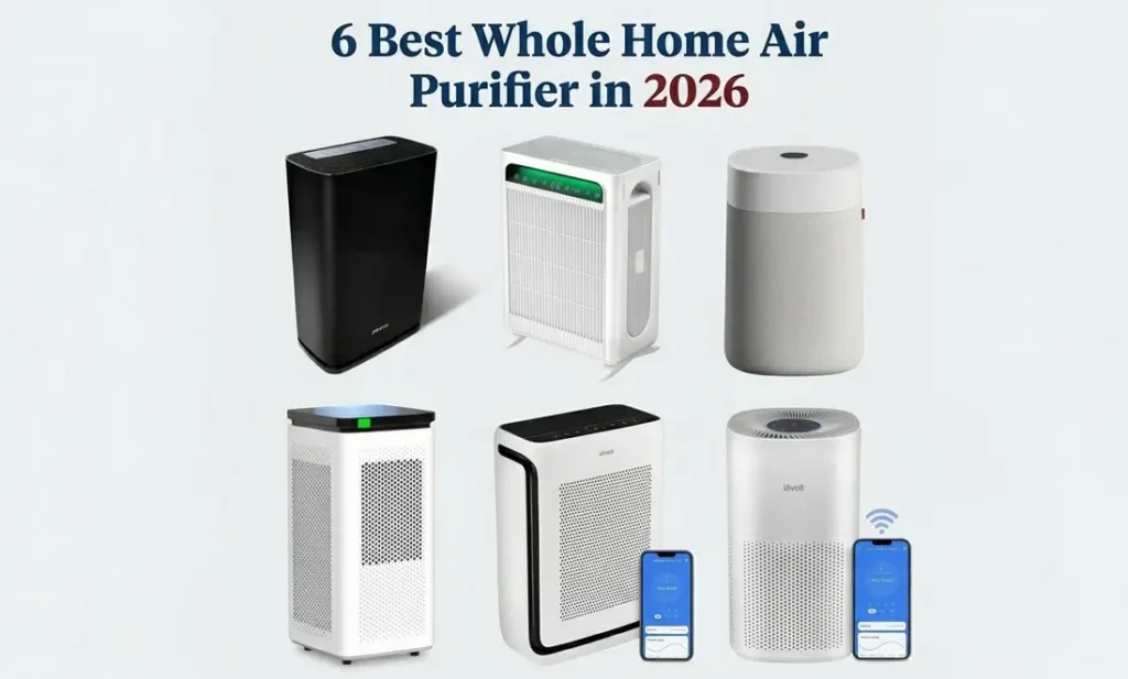 6 Best Whole Home Air Purifiers in 2026