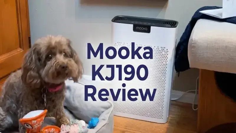 Mooka KJ190 Review: Is It Actually Worth the Buy