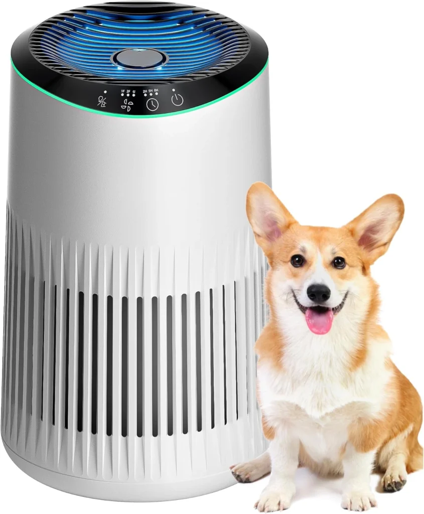 Morento MR2566 Review