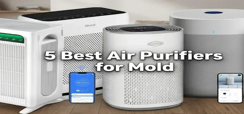 5 Best Air Purifiers for Mold: 2026 Picks