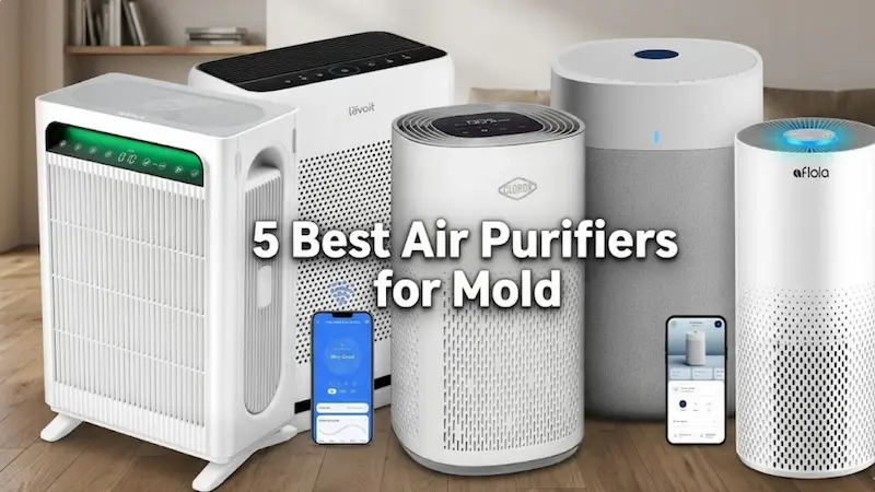 5 Best Air Purifiers for Mold: 2026 Picks Best Air Purifiers for Mold
