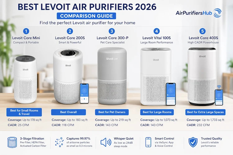 Best Levoit Air Purifiers in 2026