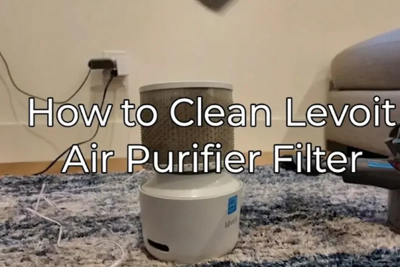 How to Clean Levoit Air Purifier Filter: Step-by-Step Guide