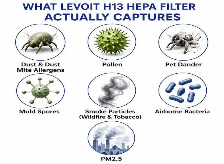 What Levoits H13 HEPA Filter Actually Captures